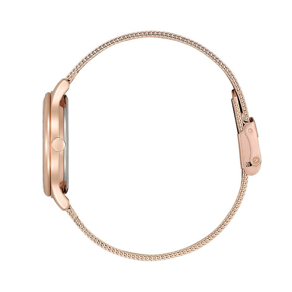 Đồng hồ Citizen Nữ EM0508-80A Dây Mesh 32mm - Ảnh 2