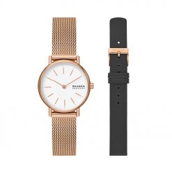 Đồng hồ Skagen Nữ SKW1153SET Dây Mesh 30mm