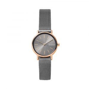 Đồng hồ Skagen Nữ SKW2996 Dây Mesh 30mm